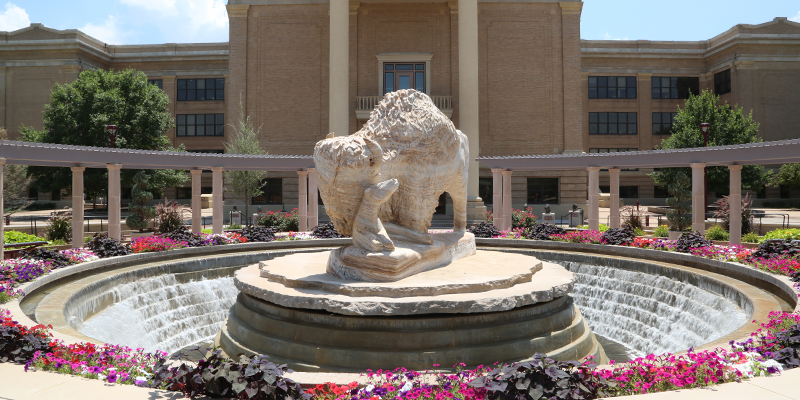 Old Main and Buffalo statue and fountain